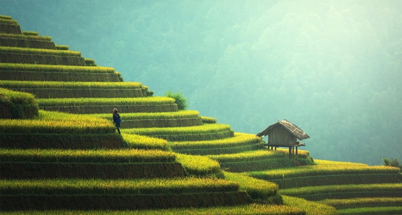 Sustainable fashion